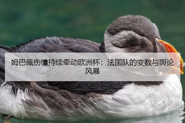 姆巴佩伤情持续牵动欧洲杯：法国队的变数与舆论风暴